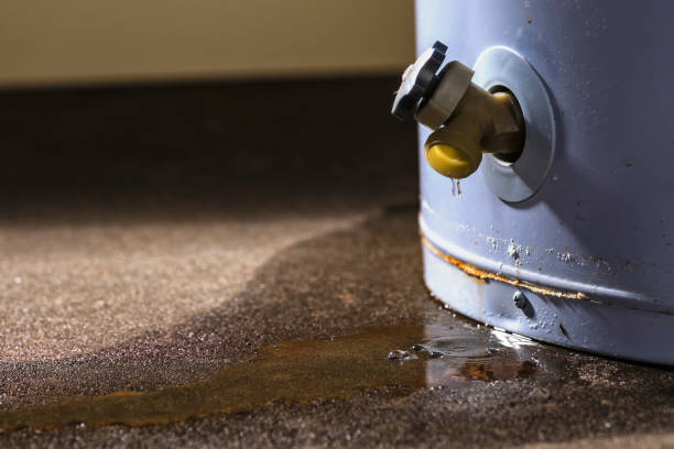 Best 24-hour water damage restoration  in Sinking Spring, PA