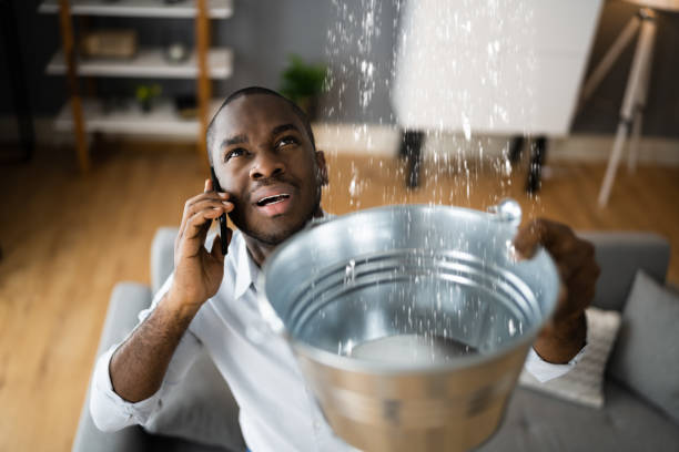 Best Fire Damage Restoration  in Sinking Spring, PA