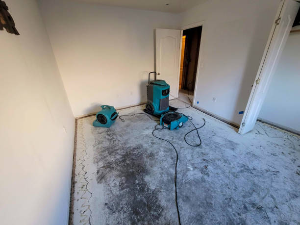 Best Professional water damage repair  in Sinking Spring, PA