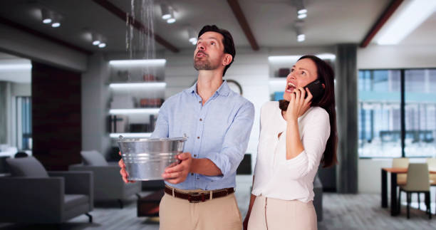 Best Water damage contractors near me  in Sinking Spring, PA